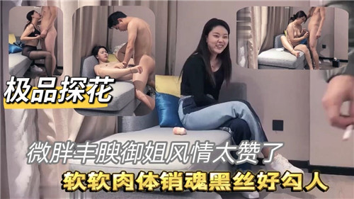 极品探花微胖御姐风情太赞了 海报