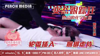 国产AV 蜜桃影像传媒 PM003 变态跟踪狂 轮番插入 捆绑解禁 娜米 海报