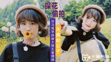 国产AV 天美传媒 天美赵公子探花 大屌无套爆操双马尾学妹 海报