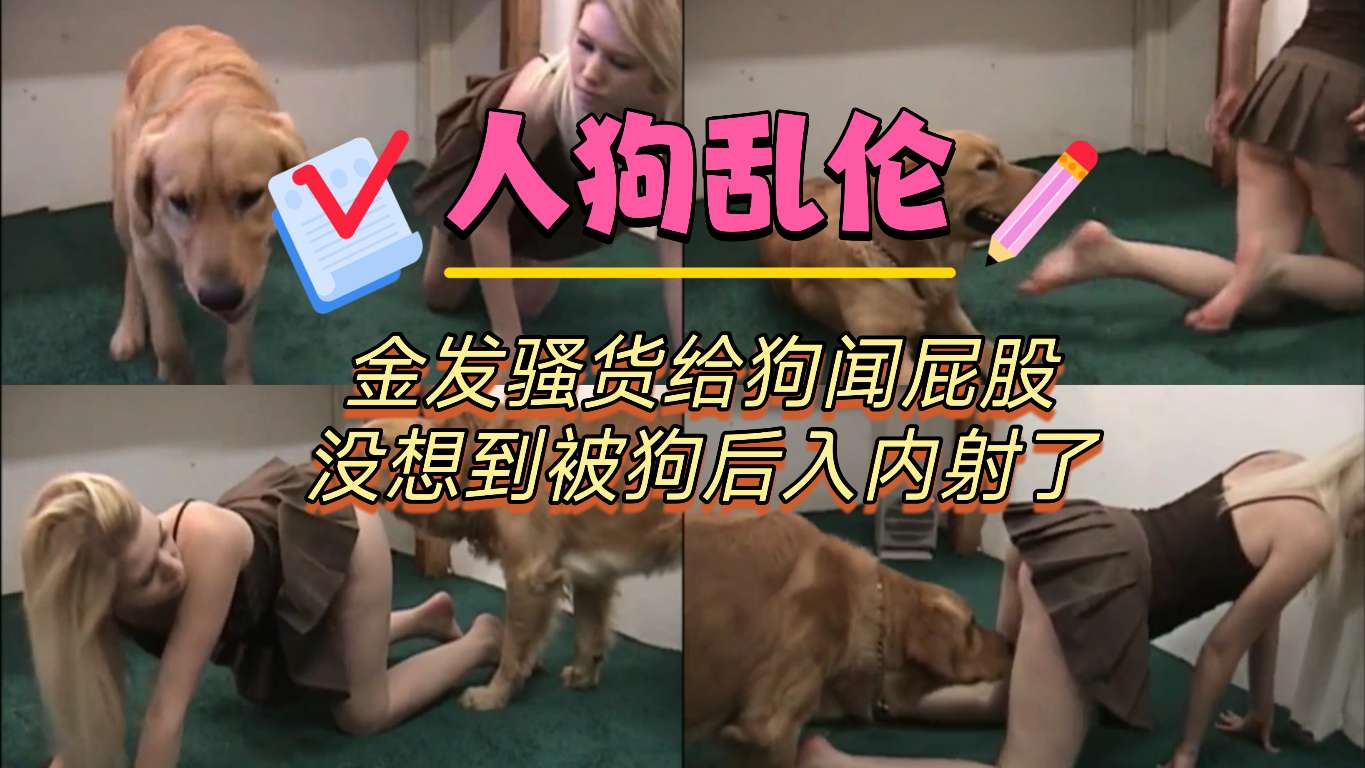 [人狗乱伦]金发骚货给狗闻屁股没想到被狗后入内射了 海报