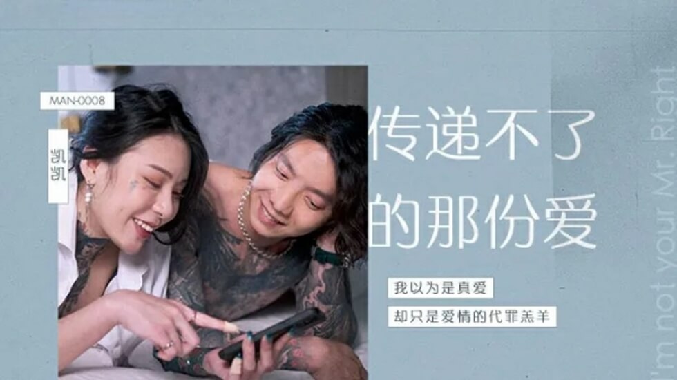 传递不了的那份爱艾秋 海报