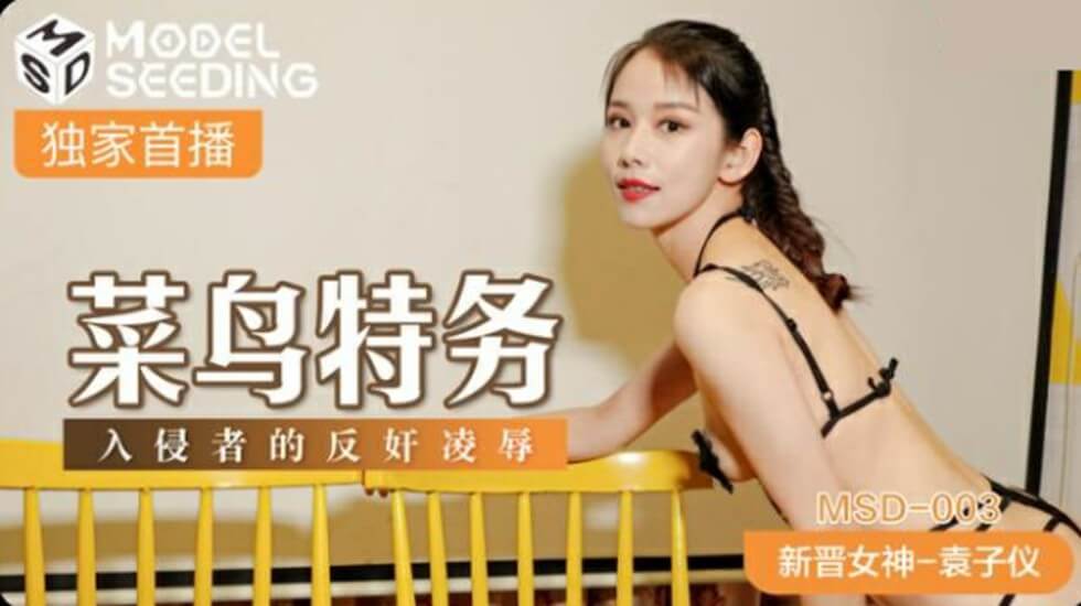 菜鸟特务入侵者的反奸凌辱袁子仪 海报
