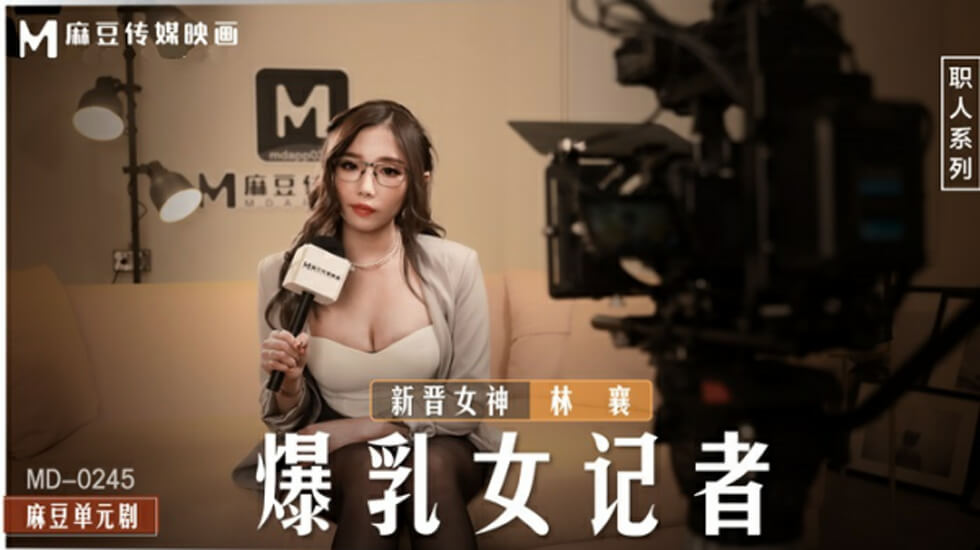 暴乳女记者林襄 海报