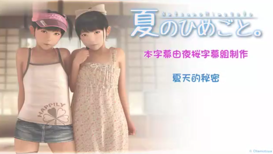 【中文字幕】夏天的秘密 海报
