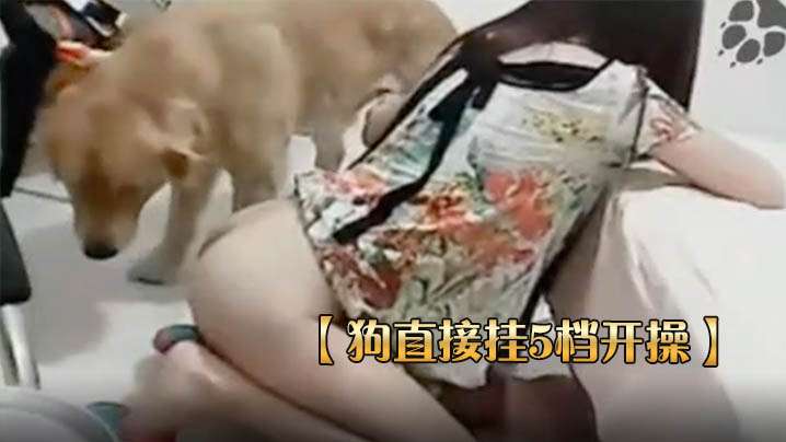 【狗直接挂5档开操】女主保持一个姿势让狗后入 海报