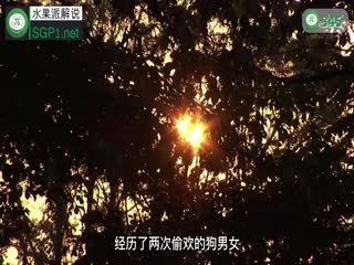 第345期10月26日巨汉上司激情播种：白肌肤人妻VS绿帽癖丈夫！原本应该生气的绿哥，看到老婆被别的男人干了个底朝天，他竟然可耻的石更了… 海报