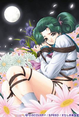 月花美人2 海报